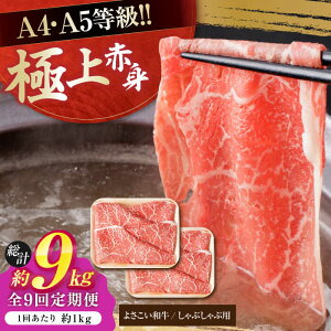yӂ邳Ɣ[Łzy9ցzmY 悳a Ԑg Ԃԗp 500g×2 v9kg  ₫ Y  A4 A5 ؂ XCX y(L)RdHz[ATAP125]