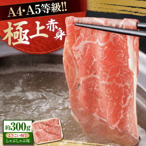 yӂ邳Ɣ[ŁzmY 悳a Ԑg Ԃԗp 300g  ₫ Y  A4 A5 ؂ XCX y(L)RdHz[ATAP127]