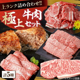 【ふるさと納税】上ランク 牛肉詰め合わせ 総計約4.59kg 牛肉 国産 焼肉 焼き肉 すき焼き 切り落とし サーロインステーキ ハンバーグ 【(有)山重食肉】[ATAP010]