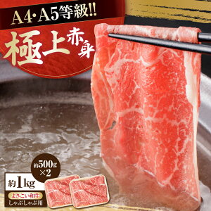 yӂ邳Ɣ[ŁzmY 悳a Ԑg Ԃԗp 500g×2 v1kg  ₫ Y  A4 A5 ؂ XCX y(L)RdHz[ATAP019]