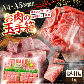 【ふるさと納税】【お中元対象】高知から美味しいお肉の玉手箱! 化粧箱入り 総計約840g 牛肉 ステーキ 焼肉 切り落とし 国産 A4 A5 【(有)山重食肉】[ATAP020]