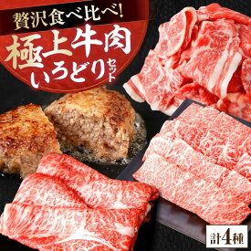 【ふるさと納税】牛肉 いろどりセット 総計2.5kg 切り落とし すき焼き 焼肉 ハンバーグ 【(有)山重食肉】[ATAP059]
