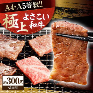 yӂ邳Ɣ[ŁzmY 悳a ēp 300g  Y Ă BBQ A4 A5 y(L)RdHz[ATAP061]
