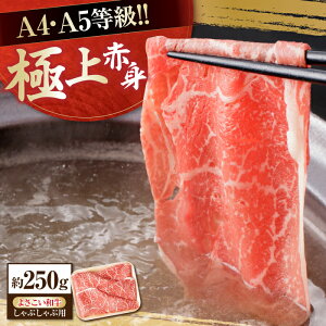 yӂ邳Ɣ[ŁzmY 悳a () Ԑg Ԃԗp 250g Y  Ԑg Ԃ y(L)RdHz[ATAP089]