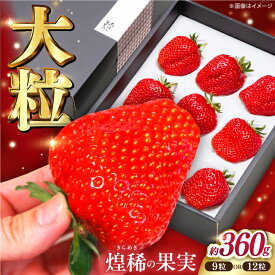 【ふるさと納税】【先行予約】煌稀の果実 大粒 苺 約360g (9または12粒) 高知市春野町産〈2026年1月上旬～2026年4月上旬頃発送〉 / いちご イチゴ 果物 フルーツ【森強のいちご農園】[ATAS001]