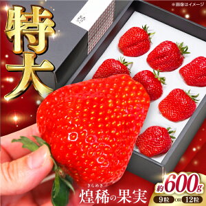 yӂ邳Ɣ[Łzys\zH̉ʎ   (600g 9܂12) mst쒬Yq2026N1{`2026N3{r /  C`S ʕ t[c yX̂_z[ATAS002]