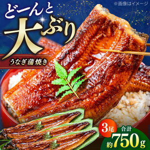 yӂ邳Ɣ[ŁzmY Ȃ Ă 3i250g×3j / Y Ȃ V EiM  t yrV{Xz[ATAU007]