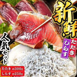 yӂ邳Ɣ[ŁzyőznZbg (n300g n炷250g) yЁ@az[ATAX012]@Xs[h ŒZ ő 