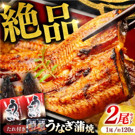 【ふるさと納税】奇跡の清流「仁淀川」水系の水で育てた高知県産「 うなぎ 蒲焼 」尾 セット レンチン 蒲焼き かば焼き たれ タレ うなぎ ウナギ 鰻 小分け 個包装 【株式会社海訪屋】[ATBC001]