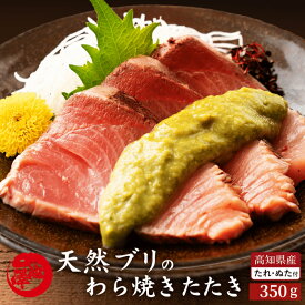 【ふるさと納税】高知県産 天然ブリ 藁焼きたたき 室戸春ブリ 葉ニンニクのぬた 約350g 〈2026年3月下旬〜発送〉【池澤鮮魚オンラインショップ】[ATBE009]