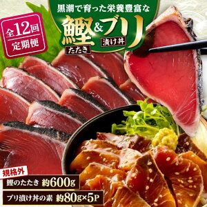 yӂ邳Ɣ[Łzy12ցzKiOJcI 600g{uЂ̑f 80g×5pbN ymt[YЁz[ATBX124]
