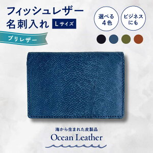 yӂ邳Ɣ[ŁzyIׂJ[zOcean Leather hqurLTCYymt[YЁz[ATBX067-01]