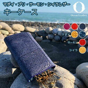 yӂ邳Ɣ[ŁzyOcean BluezOcean Leather L[P[Xy}_Czymt[YЁz[ATBX076-01]