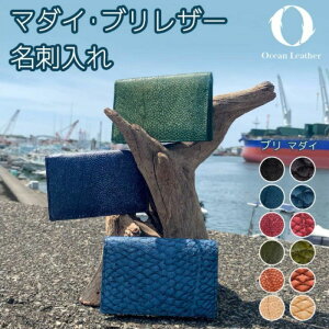 yӂ邳Ɣ[ŁzyChestnutzOcean Leather hyuzMymt[YЁz[ATBX084-03]