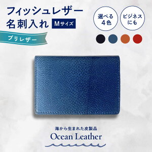 yӂ邳Ɣ[ŁzyIׂJ[zOcean Leather hqurMTCYymt[YЁz[ATBX084-01]