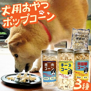 yӂ邳Ɣ[ŁzƂ̂pɂEv[gpɂ҂Iup|bvR[v3ZbgyHiz[ATCC001]