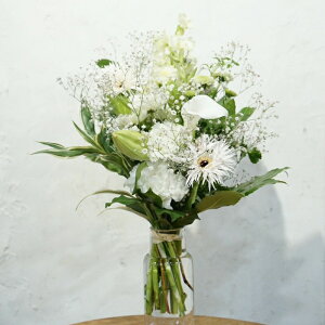 yӂ邳Ɣ[ŁzG߂̂ߐԉԑ   1 ytomoniz[ATCG001]