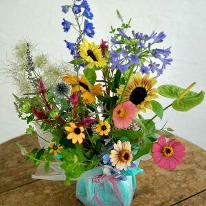 yӂ邳Ɣ[Łzy6ցzߐԃAWgM ytomoniz[ATCG007]