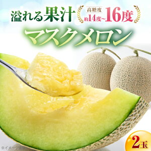 yӂ邳Ɣ[Łzys\z ms t쒬Y }XN 2 (2.8kg`3.4kg dʍ) q2026N910`2026N915r yЎR_z [ATCI002]