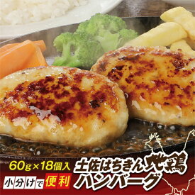 【ふるさと納税】土佐はちきん地鶏ハンバーグ 約60g×18個 【株式会社　羽根】[ATCK009]