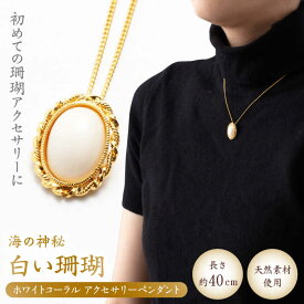 【ふるさと納税】ホワイトコーラル アクセサリーペンダント 【有限会社米沢サンゴ店】[ATCX027]