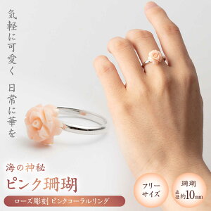 yӂ邳Ɣ[ŁzƋCyɎXANZT[O yLЕđTSXz[ATCX032]