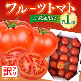 【ふるさと納税】【訳あり】高知市産 ご家庭用フルーツトマト約1kg〈2026年1月上旬〜2026年5月末頃発送〉トマト とまと 高知 フルーツ 果物 訳アリ【株式会社 堀】[ATDA007]