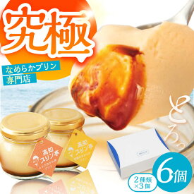 【ふるさと納税】プリン 食べ比べセット 6個入り （2種類×3個） / 高知 プリン スイーツ デザート ギフト 詰め合わせ 食べ比べ 【高知プリン亭】[ATDH003]