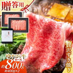 yӂ邳Ɣ[ŁzyΕΏہzm 䂷͂狍[X ₫ 800g(400g×2pbN) / m    [X ₫  Mtg ґ yē\Yz[ATDO009]