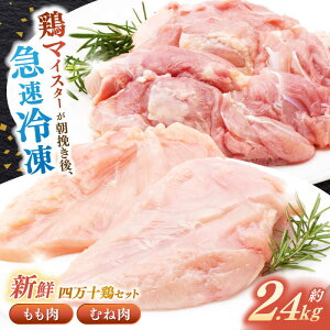 yӂ邳Ɣ[Łzl\{ Ƃ{ Zbg ( ނ˓ v2.4kg)yOhuC[̔Ёz[ATDP001]