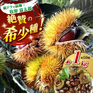 yӂ邳Ɣ[Łzys\zققÂInÌI IGiKi 1kg (50O) /I  G H { ym여斲ÌIYґg 葠z[ATDR002]