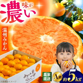 【ふるさと納税】【先行予約】＜サイズおまかせ＞高知県産温州みかんA級品 約5kg ＜2026年11月上旬～2026年12月下旬頃発送＞ / みかん 柑橘 オレンジ 高知県 温州 【株式会社にしごみ】[ATEA009]