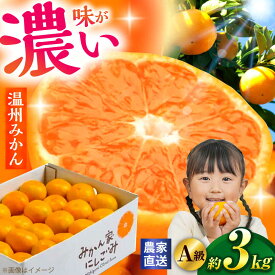 【ふるさと納税】【先行予約】＜サイズおまかせ＞高知県産温州みかんA級品 約3kg ＜2026年11月上旬～2026年12月下旬頃発送＞/ みかん 柑橘 オレンジ 高知県 温州 【株式会社にしごみ】[ATEA010]