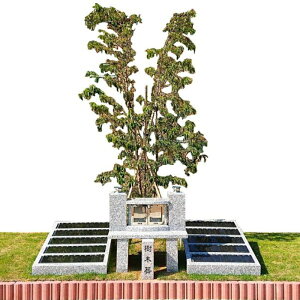 yӂ邳Ɣ[ŁzǑi̋ ؑ 1 (2܂) yvc@l@_c쉀z[ATES001]