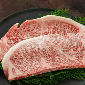 yӂ邳Ɣ[Łzy T[C Xe[L 400gi200g×2j/ p  y a    Ef  o Hi Ⓚ m ymHZ^[Ёz[ATFC039]