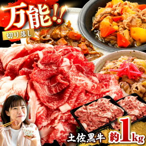 yӂ邳Ɣ[Łzy ؂藎 1kgi500g×2j / p  y a    Ef  o Hi Ⓚ m ymHZ^[Ёz[ATFC040]