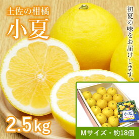 【ふるさと納税】土佐小夏約2.5kg　18個前後　M サイズ　さわやかな甘さが絶品 | 高知 フルーツ 果物 くだもの 柑橘 期間限定 数量限定 人気 おすすめ 美味しい お取り寄せ グルメ ギフト 緊急支援 支援 生産者応援