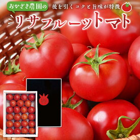 【ふるさと納税】リサ フルーツ トマト 2kg | 期間限定 数量限定 野菜 やさい tomato 農家 産地 直送 お取り寄せ グルメ 人気 おすすめ 高知県 高知市