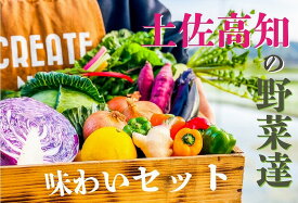 【ふるさと納税】【味わいセット】高知の新鮮野菜セット