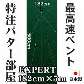 【ふるさと納税】ゴルフ練習用・超高速パターマット 180cm×5mと練習用具