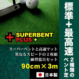 【ふるさと納税】ゴルフ練習セット・標準＆最高速（90cm×3m）2枚組パターマット
