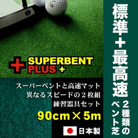 【ふるさと納税】ゴルフ練習セット・標準＆最高速（90cm×5m）2枚組パターマット