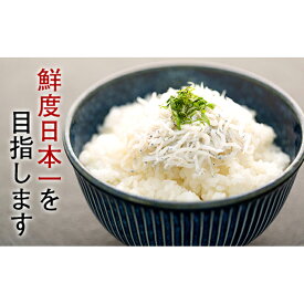 【ふるさと納税】釜揚げちりめん（しらす）約1.8kg（約300g×6袋）鮮度日本一を目指します！浜で瞬時に釜出し