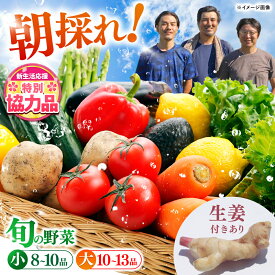 【ふるさと納税】【高知の安心野菜をお届け】土佐の太陽をいっぱいに浴びた旬の野菜セット〈選べる容量＆生姜有無〉/栽培期間中農薬・化学肥料不使用 スピード 最短 最速 発送 野菜 送料無料 やさい 定番 野菜 セット 詰め合わせ 旬 新鮮【土佐野菜】[ATBA001]