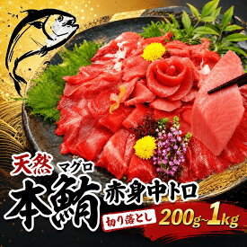 【ふるさと納税】 【容量選べる】本マグロ 赤身 中とろ 切り落とし 1kg 小分け 冷凍 天然まぐろ 鮪 刺身 ふるさと納税魚介 寿司 惣菜 海鮮丼 魚介類 ふるさと納税まぐろ 訳あり ふるさと納税海鮮 漬け丼 不揃い マグロ 規格外 5000円 人気 賞味期限が短い 簡易包装 高知県