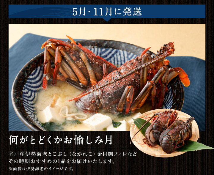 楽天市場 ふるさと納税 5回定期便 海からの贈り物 マグロとカツオのお楽しみセット まぐろ カツオのたたき ネギトロ 伊勢海老 金目鯛 刺身 とこぶし ながれこ 海鮮 冷凍 コロナ 緊急支援品 訳あり 不揃い 傷 規格外 送料無料 Tk006 高知県室戸市