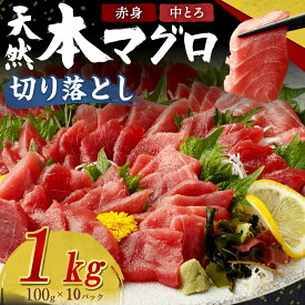 【ふるさと納税】 高豊丸 天然本マグロ (赤身・中とろ) 切り落とし 1kg (100g×10パック) マグロ 刺身 刺し身 魚 惣菜 海鮮丼 魚介類 食べきりサイズ 小分け 冷凍 訳あり 不揃い 傷 規格外 25000円 送料無料 寄付額見直し