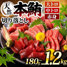 【ふるさと納税】 本マグロ 中トロ 大トロ 赤身 1.2kg ～ 300g 切り落とし 小分け 60g 切落し 天然 鮪 クロマグロ 海産物 魚 お刺身 さしみ 漬丼 漬け丼 おかず 海鮮丼 魚介 海鮮 簡易包装 惣菜 訳あり 父の日 不揃い 規格外 不揃い 冷凍 人気 10000円 1万円 賞味期限が短い