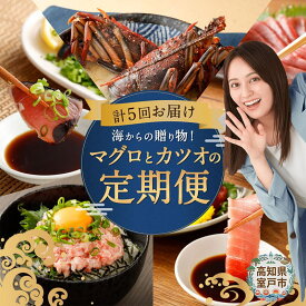 【ふるさと納税】 5回定期便 海からの贈り物 マグロ カツオ お楽しみ セット カツオのたたき ネギトロ 刺身 海産物 魚介類 鮪 まぐろたたき 鰹 魚 海鮮 冷凍 訳あり 不揃い 傷 規格外 漬け丼 伊勢 海老 刺身 故郷納税 10万円 100000円 バラエティ 頒布会 高知県 室戸市