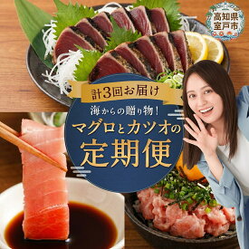 【ふるさと納税】 3回定期便 海からの贈り物 マグロ カツオ 定期便 カツオのたたき ネギトロ 中トロ 刺身 海鮮 鰹 冷凍 魚 海産物 魚介類 高知県 まぐろたたき 鮪 藁焼き わら焼き 訳あり 不揃い 傷 規格外 刺し身 漬け丼 海鮮 故郷納税 バラエティ 頒布会 高知県 室戸市